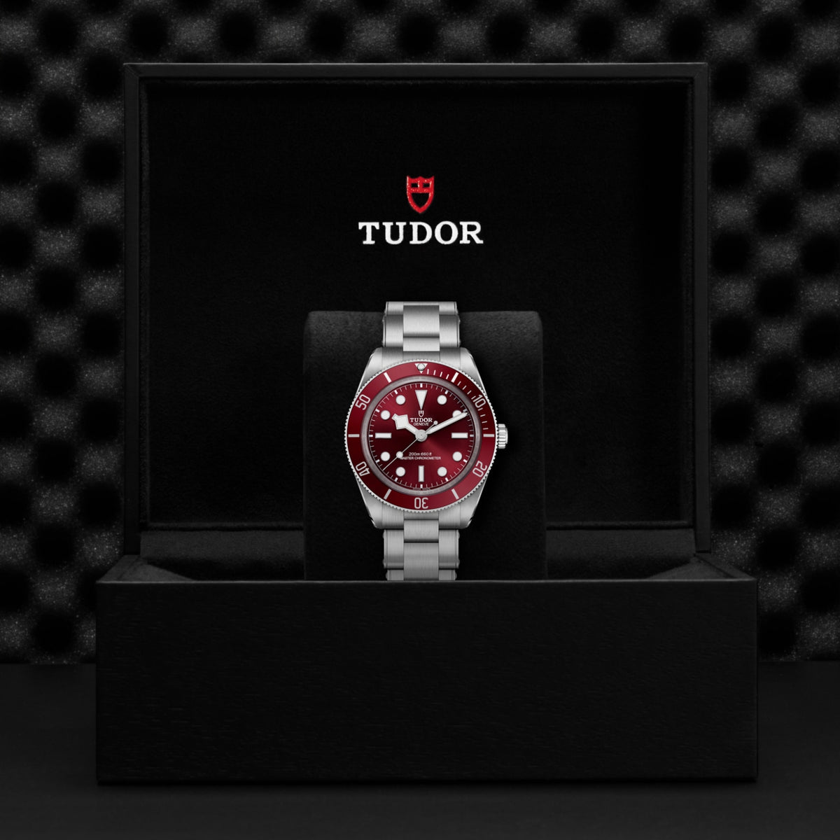 TUDOR Black Bay 58 M7939A1A0RU-0002 Watch