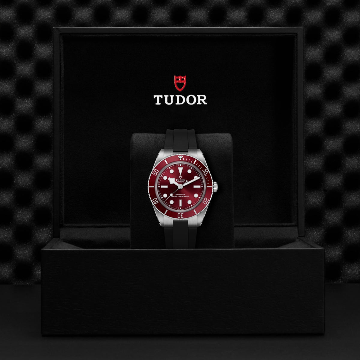 TUDOR Black Bay 58 M7939A1A0RU-0003 Watch