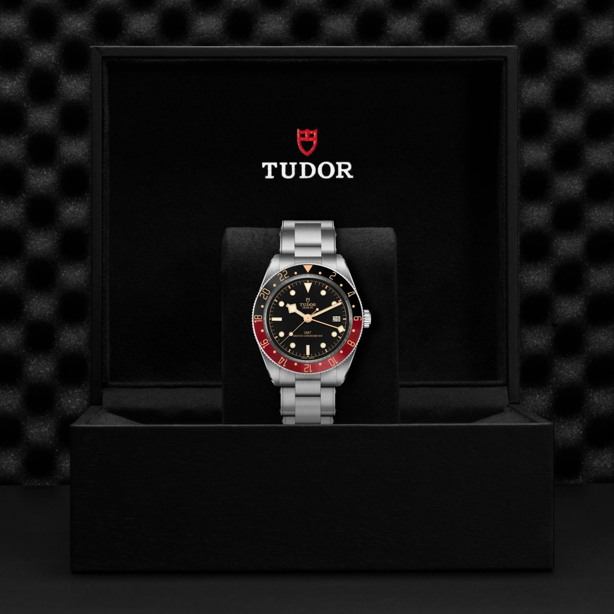 TUDOR Black Bay 58 GMT M7939G1A0NRU-0001 Watch