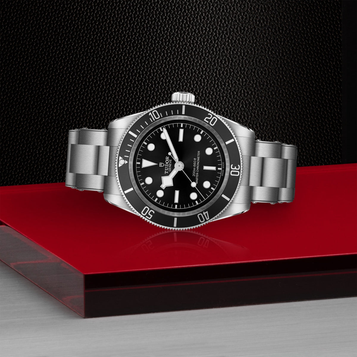 TUDOR Black Bay M7941A1A0NU-0001 Watch
