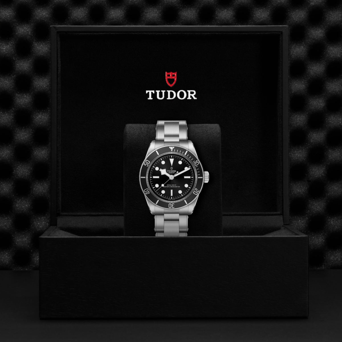 TUDOR Black Bay M7941A1A0NU-0001 Watch