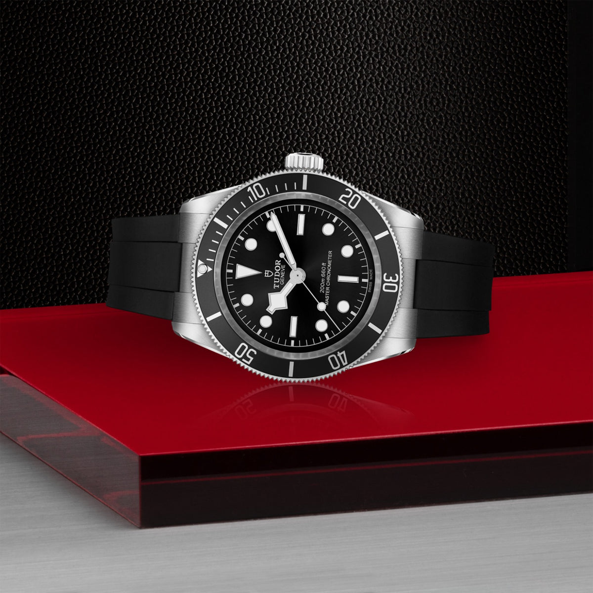 TUDOR Black Bay M7941A1A0NU-0002 Watch