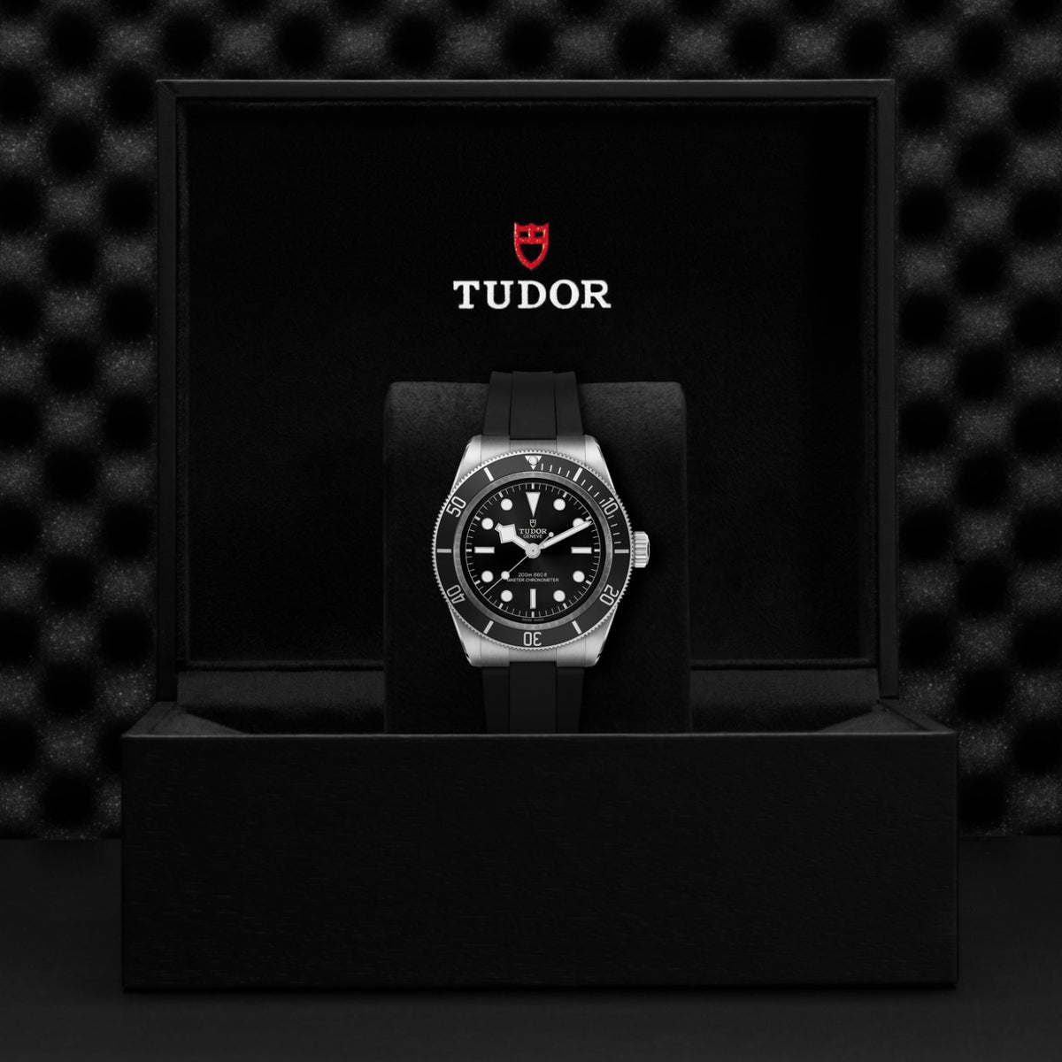 TUDOR Black Bay M7941A1A0NU-0002 Watch