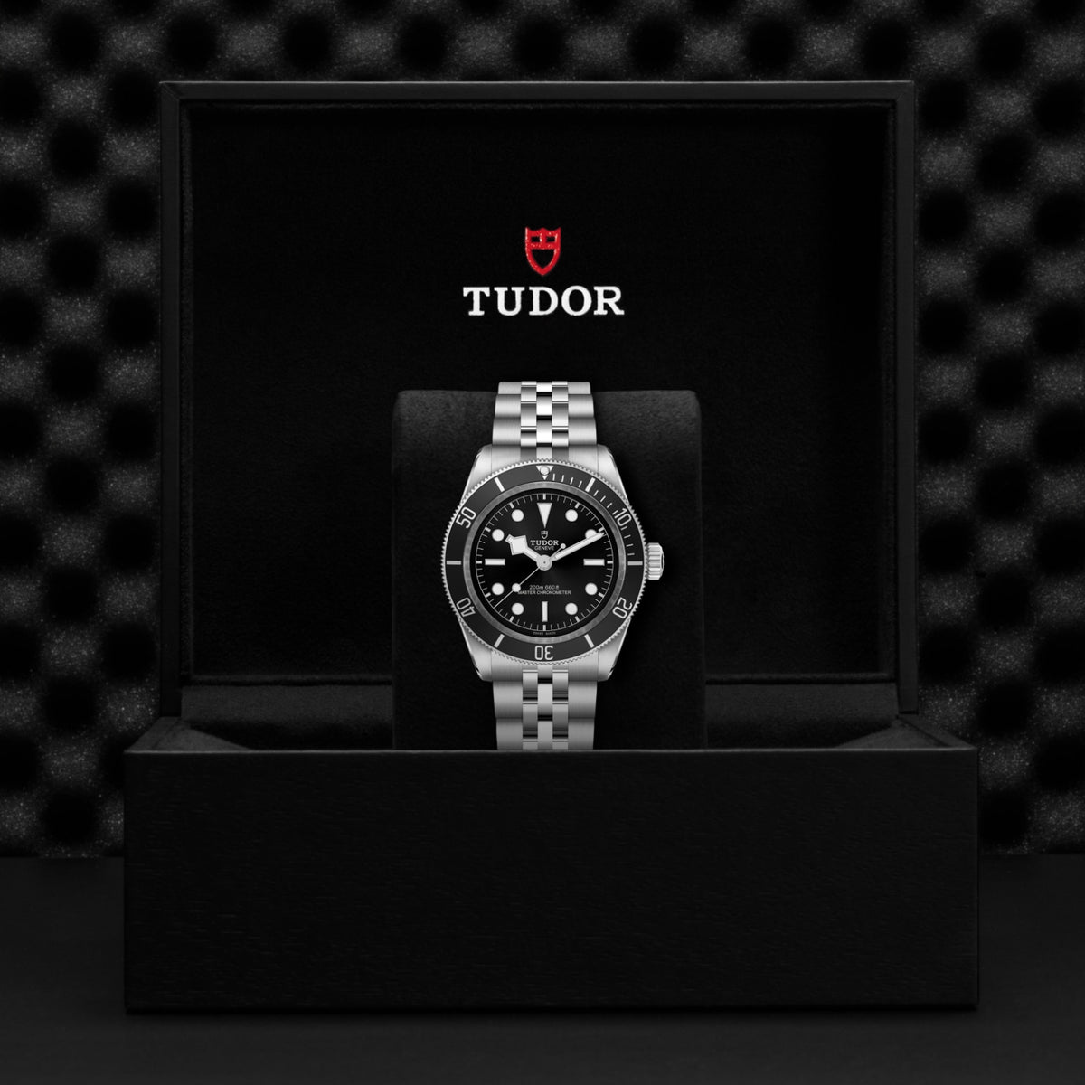 TUDOR Black Bay M7941A1A0NU-0003 Watch