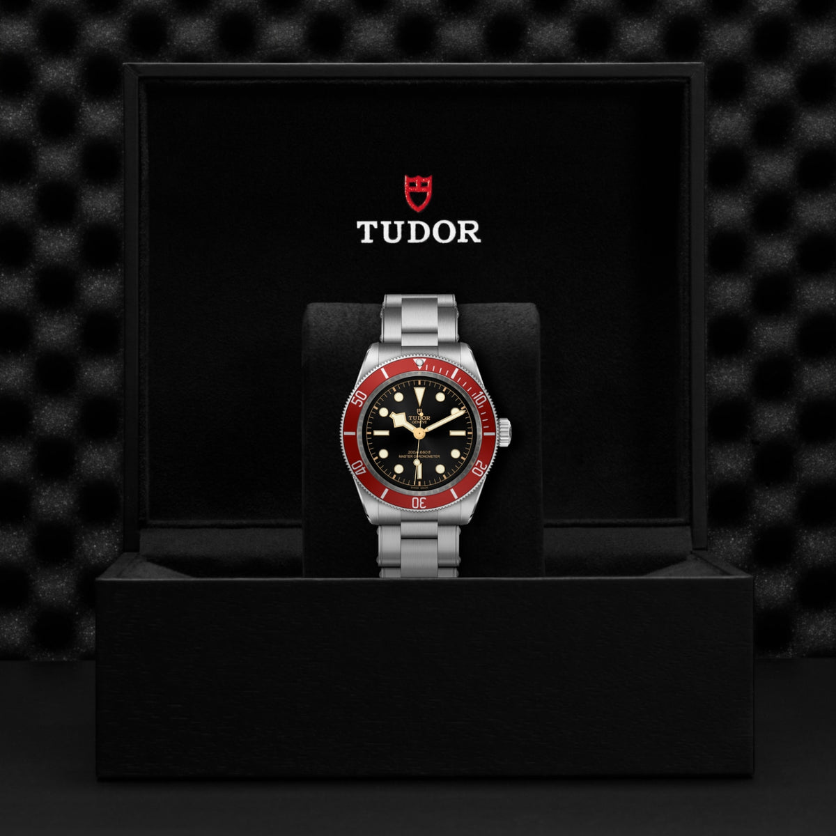 TUDOR Black Bay M7941A1A0RU-0001 Watch