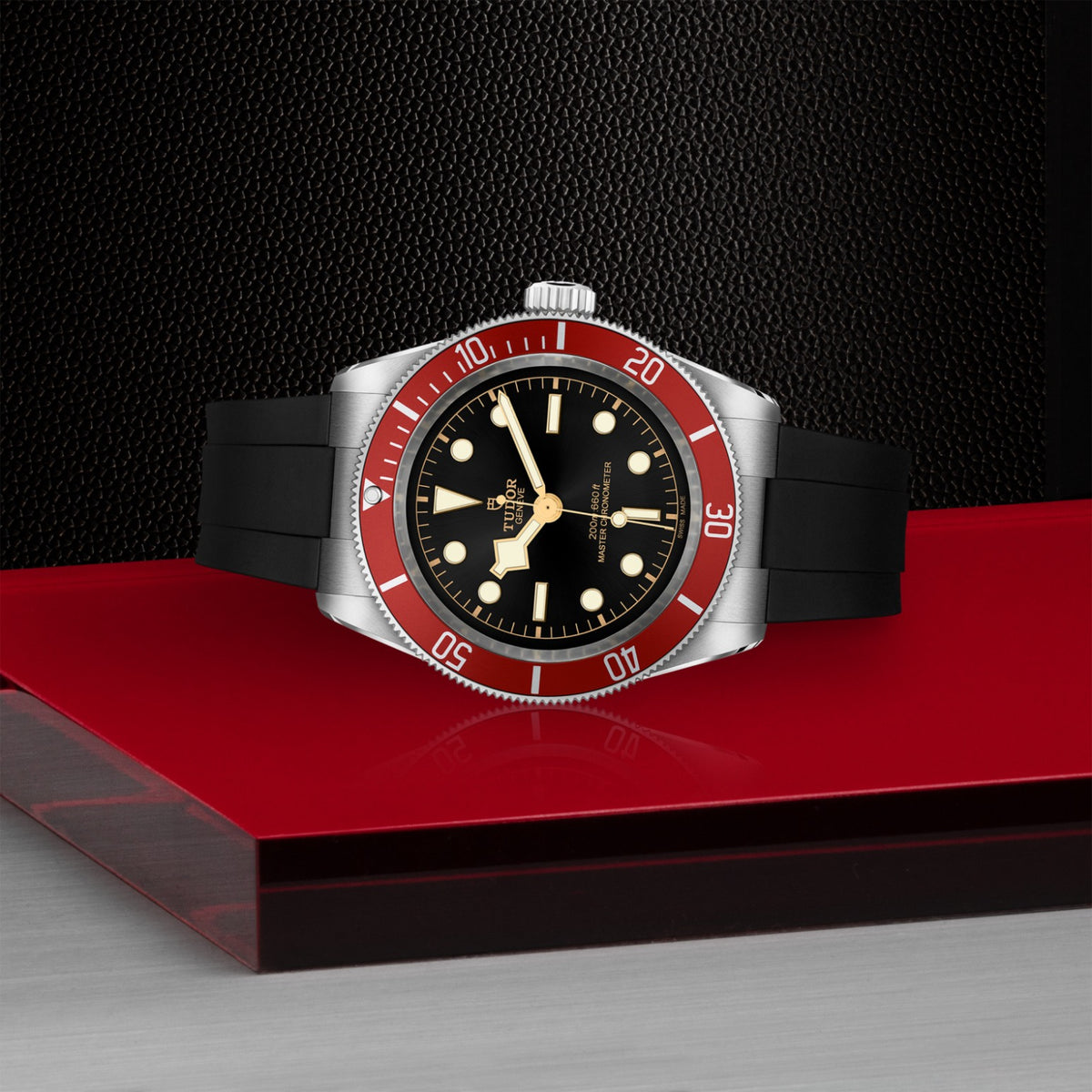 TUDOR Black Bay M7941A1A0RU-0002 Watch