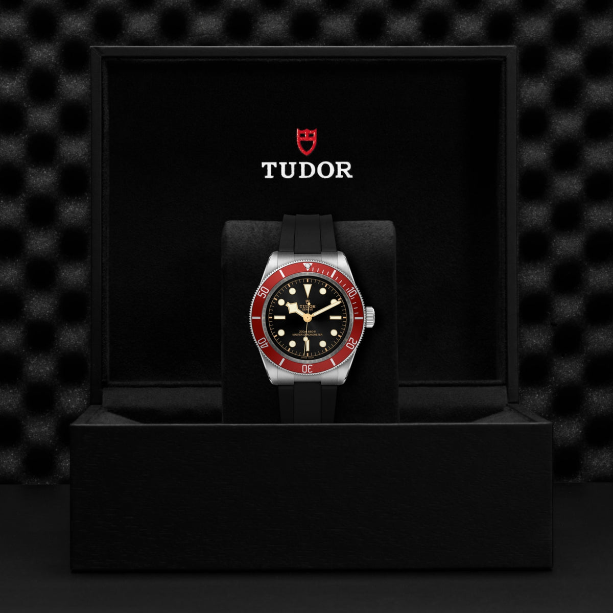 TUDOR Black Bay M7941A1A0RU-0002 Watch