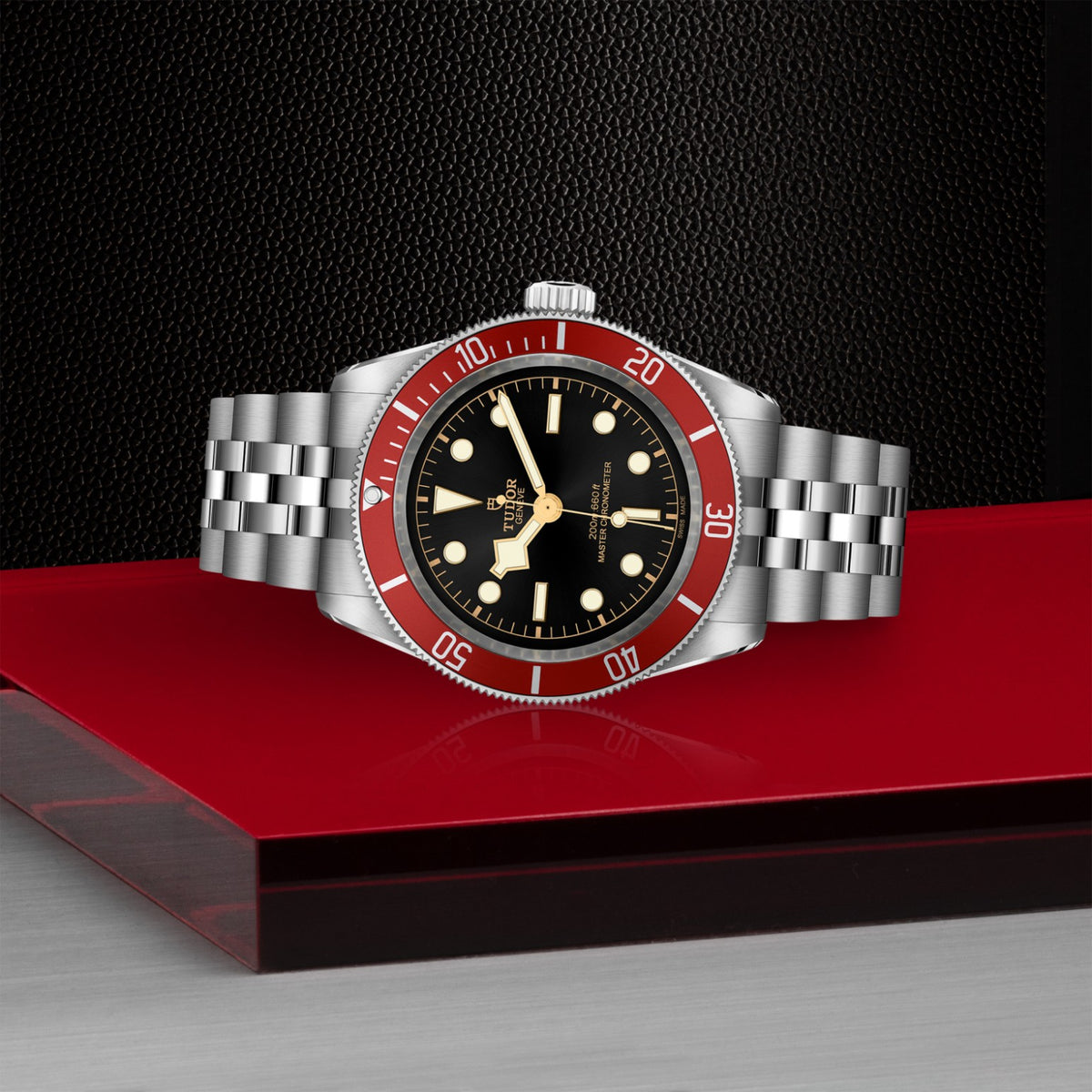 TUDOR Black Bay M7941A1A0RU-0003 Watch