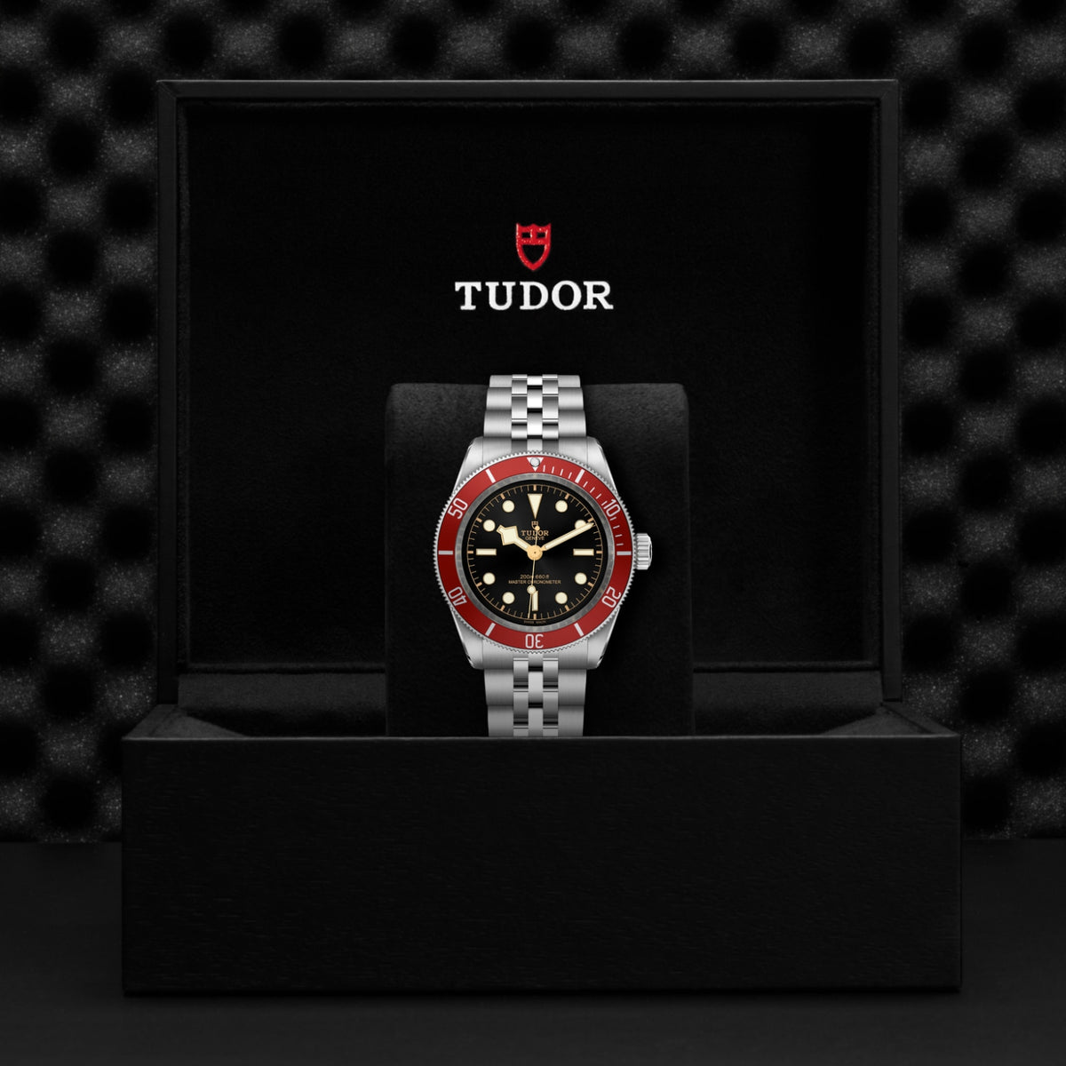 TUDOR Black Bay M7941A1A0RU-0003 Watch