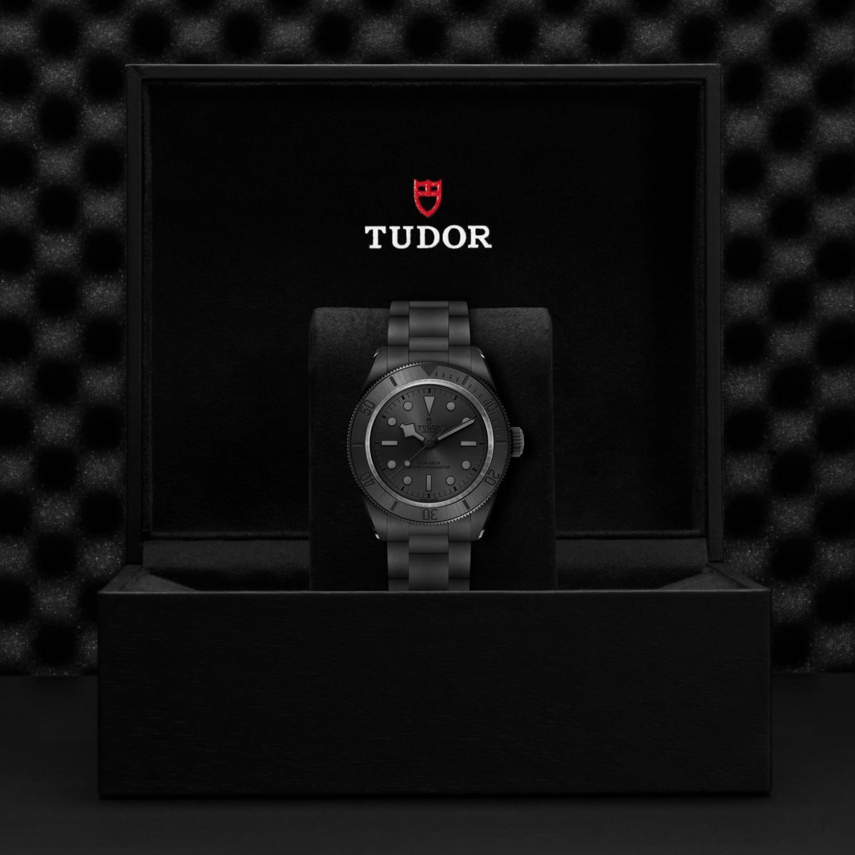 TUDOR Black Bay Ceramic M7941A1ACNU-0001 Watch