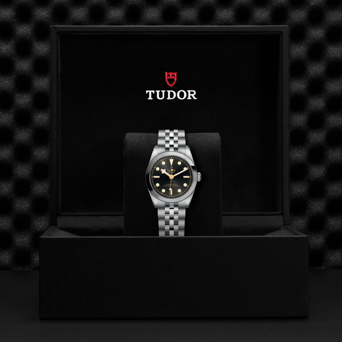 TUDOR Black Bay One 31 M79600-0001 Watch