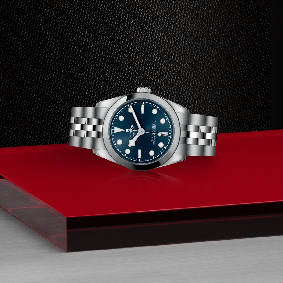 TUDOR Black Bay One 31 M79600-0002 Watch