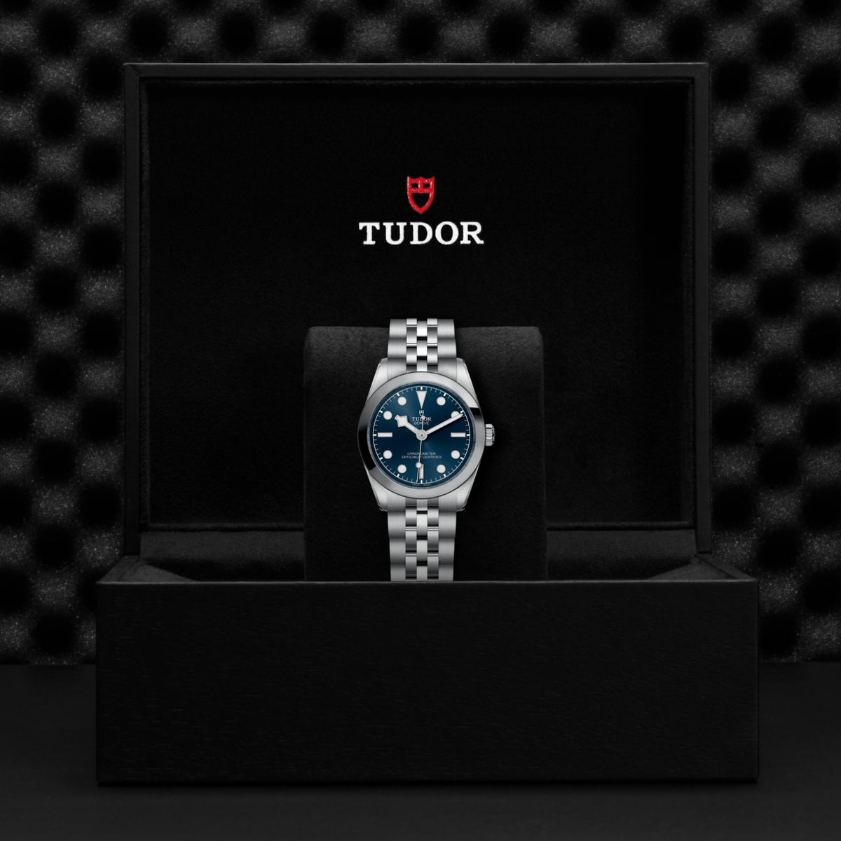 TUDOR Black Bay One 31 M79600-0002 Watch