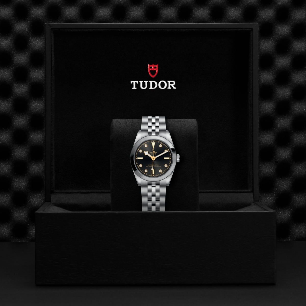TUDOR Black Bay One 31 M79600-0004 Watch