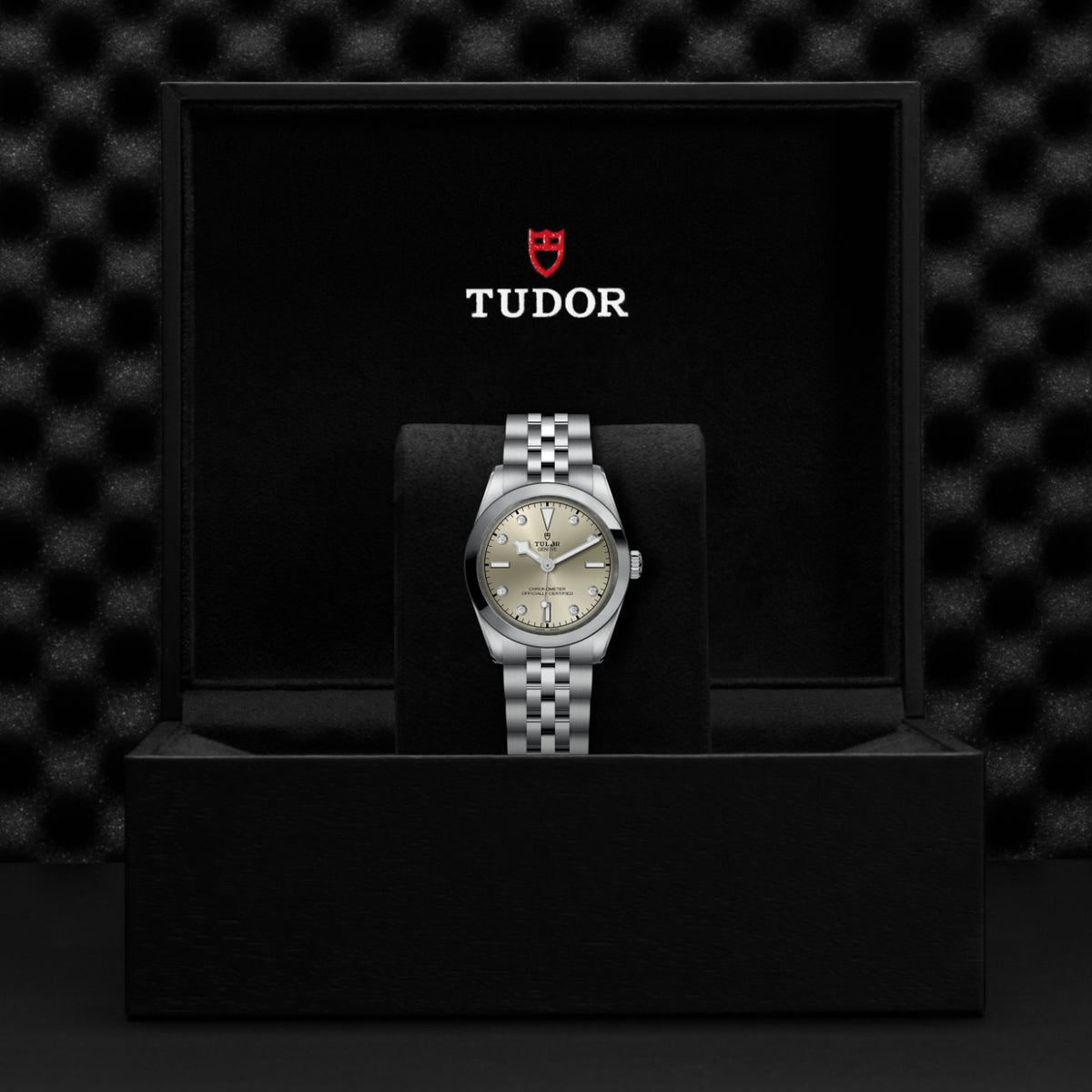 TUDOR Black Bay One 31 M79600-0006 Watch
