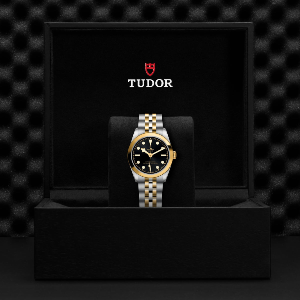 TUDOR Black Bay One 31 S&G M79603-0001 Watch