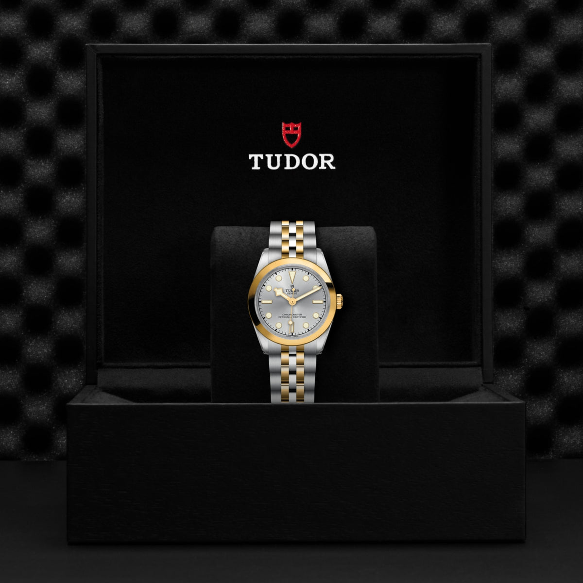 TUDOR Black Bay One 31 S&G M79603-0002 Watch
