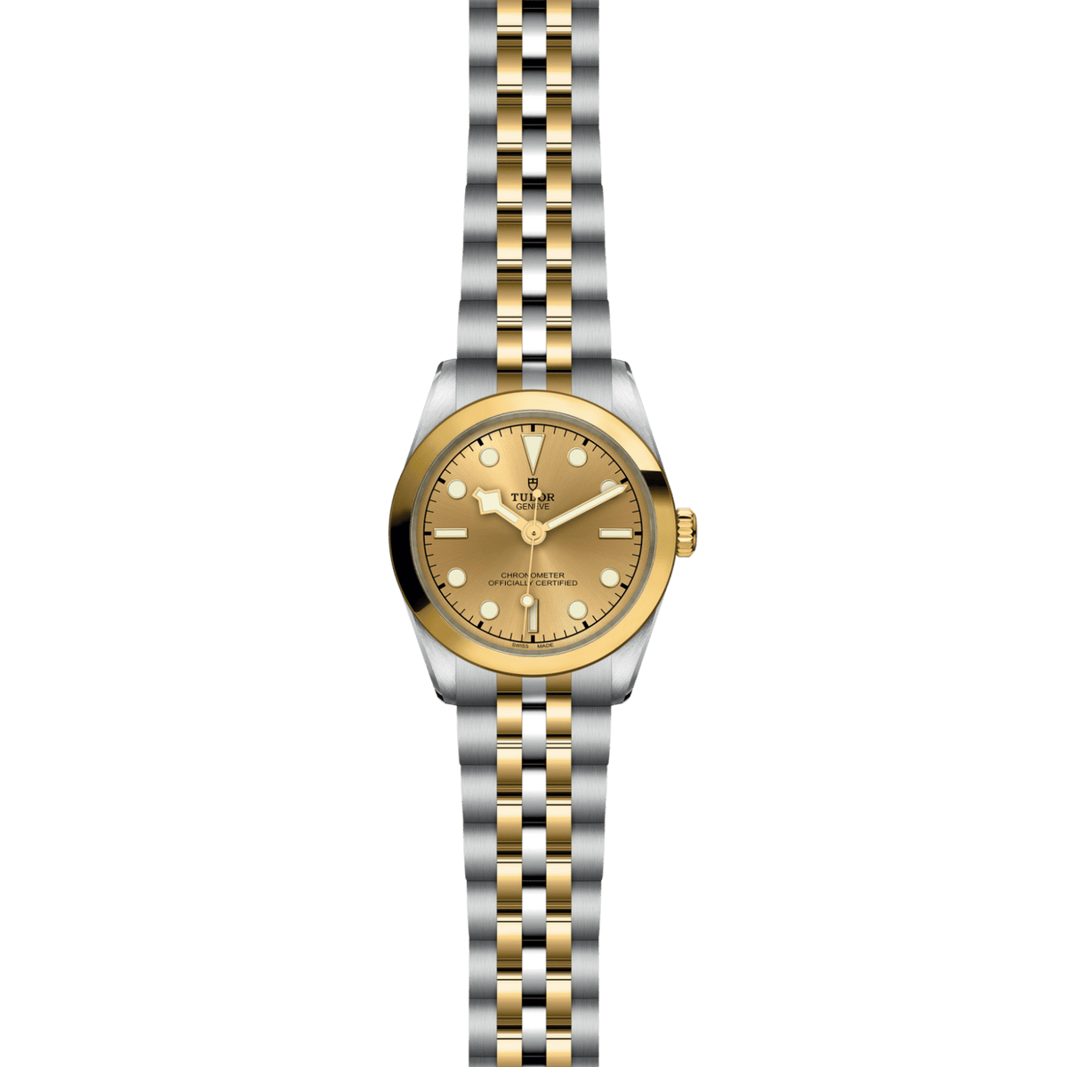TUDOR Black Bay One 31 S&G M79603-0005 Watch