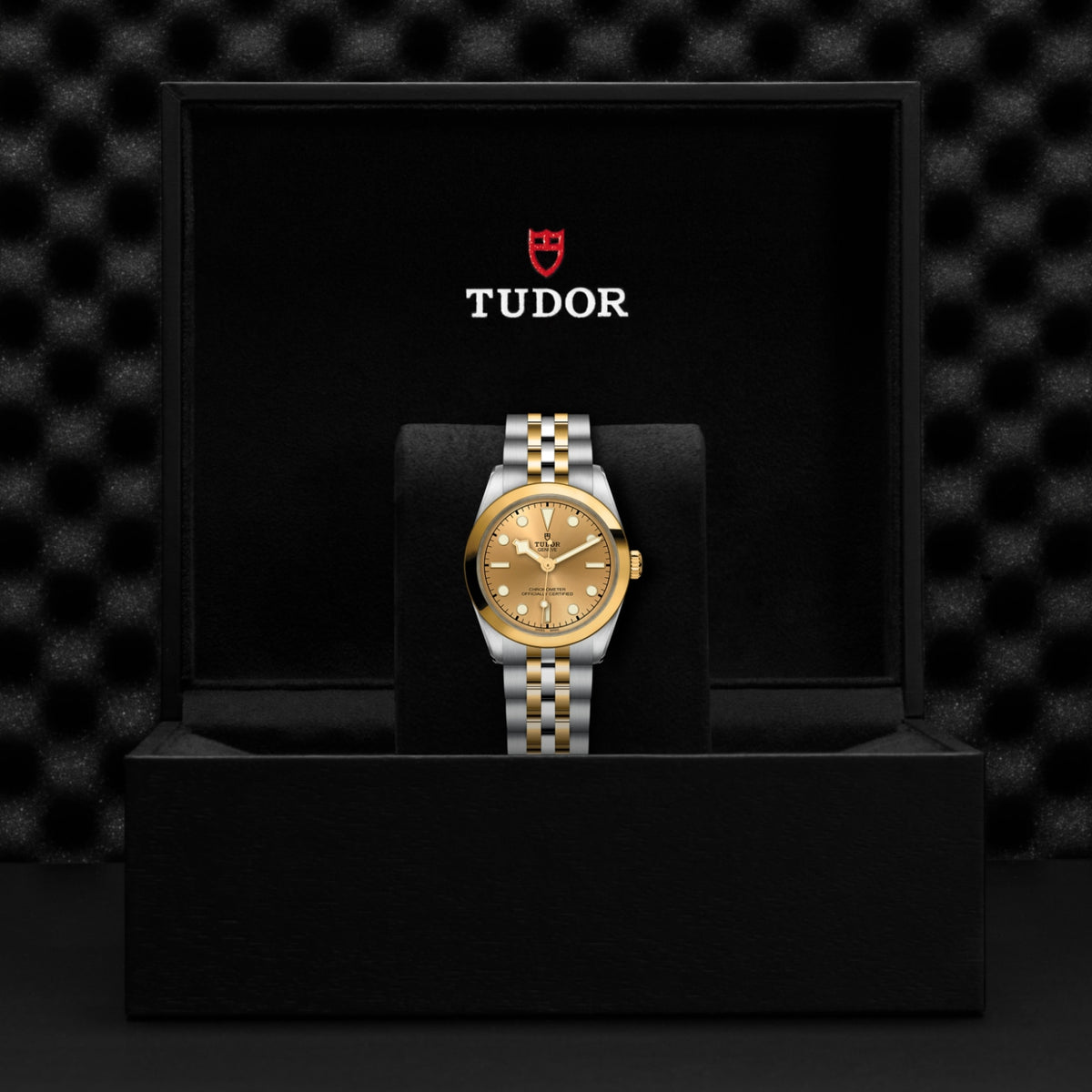 TUDOR Black Bay One 31 S&G M79603-0005 Watch