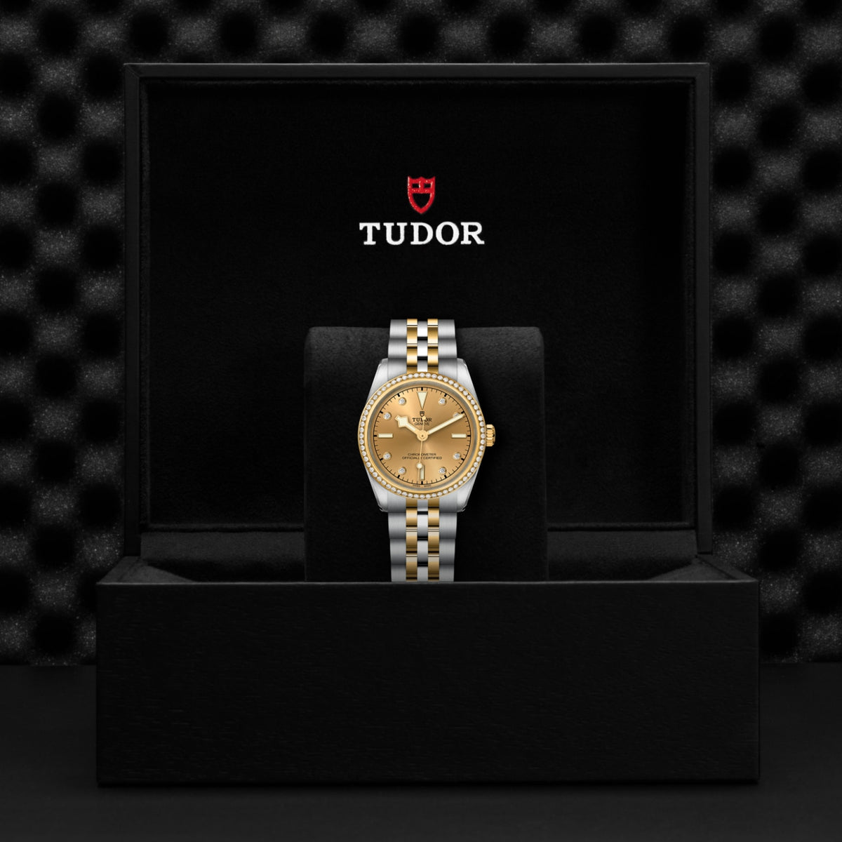 TUDOR Black Bay One 31 S&G M79613-0007 Watch