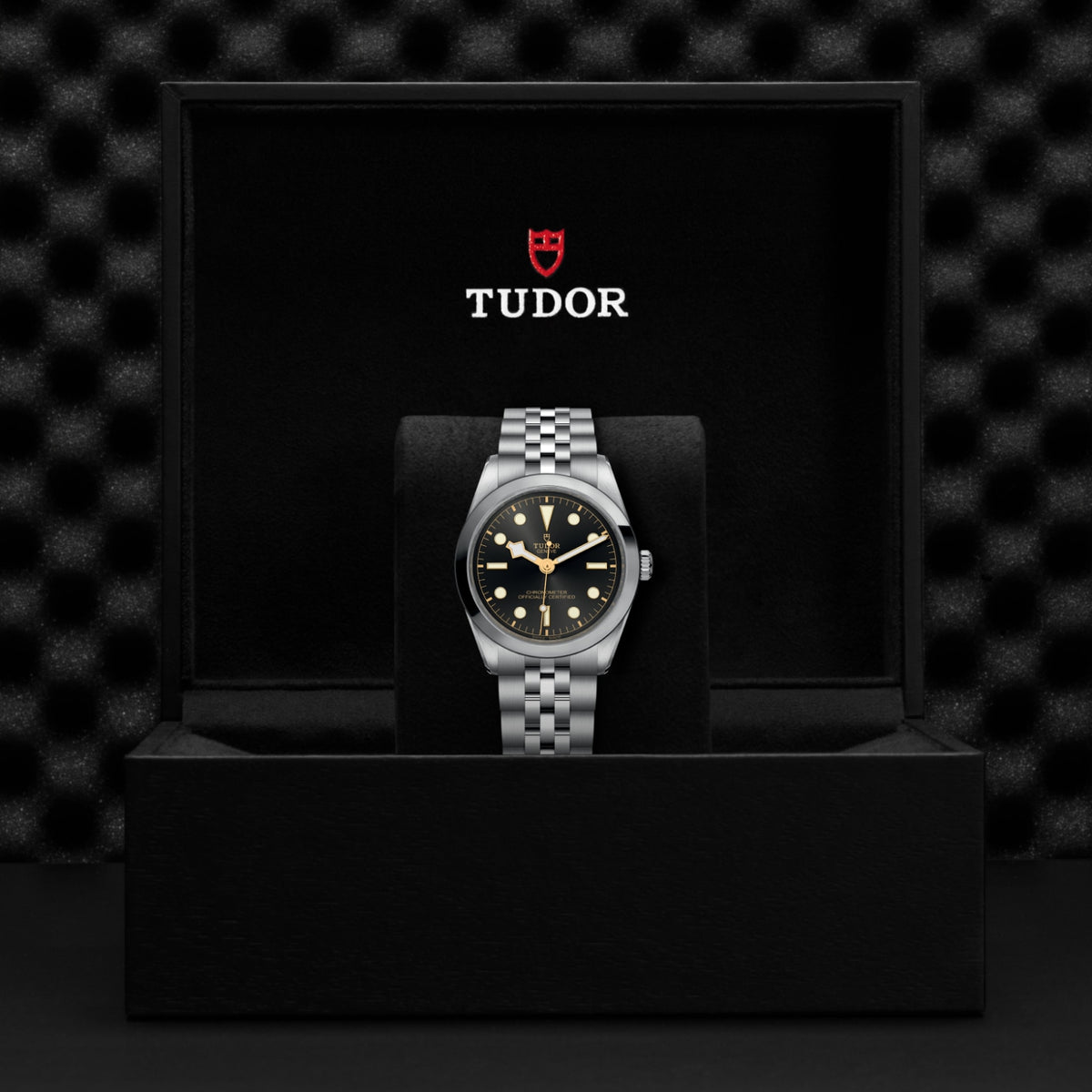 TUDOR Black Bay One 36 M79640-0001 Watch