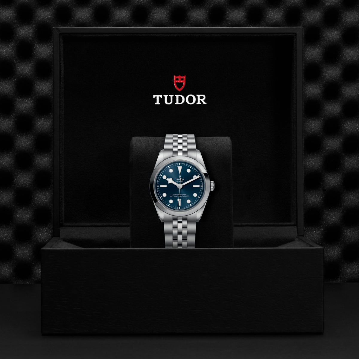TUDOR Black Bay One 36 M79640-0002 Watch