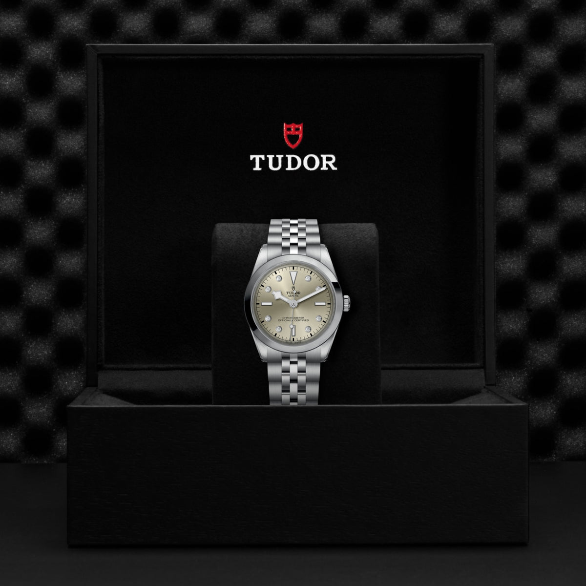 TUDOR Black Bay One 36 M79640-0006 Watch