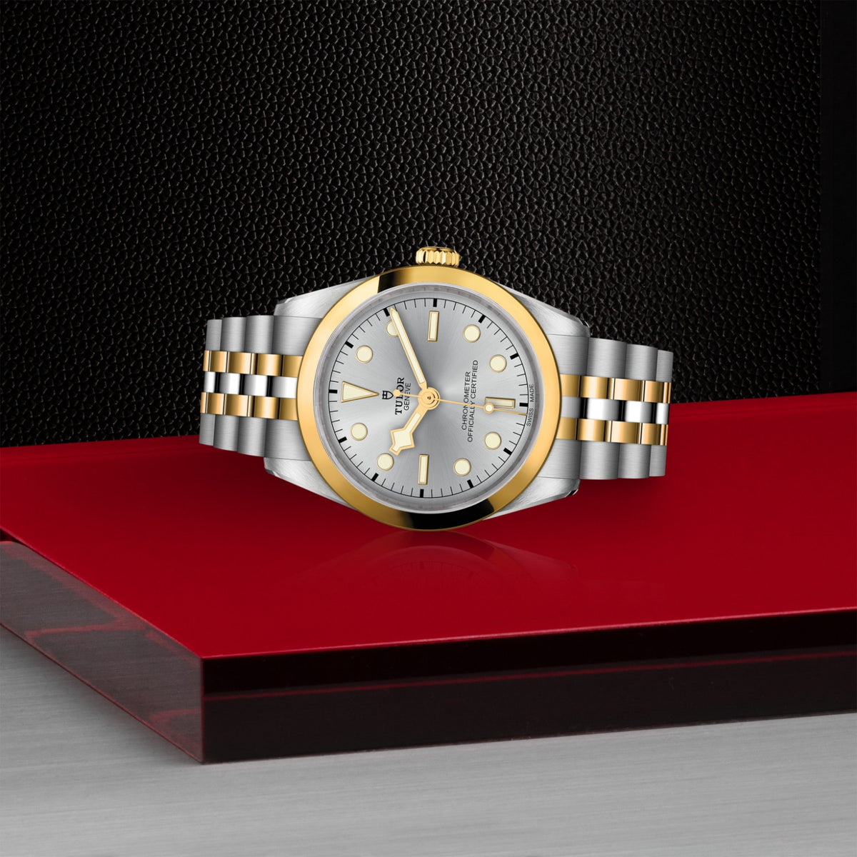 TUDOR Black Bay One 36 S&G M79643-0002 Watch