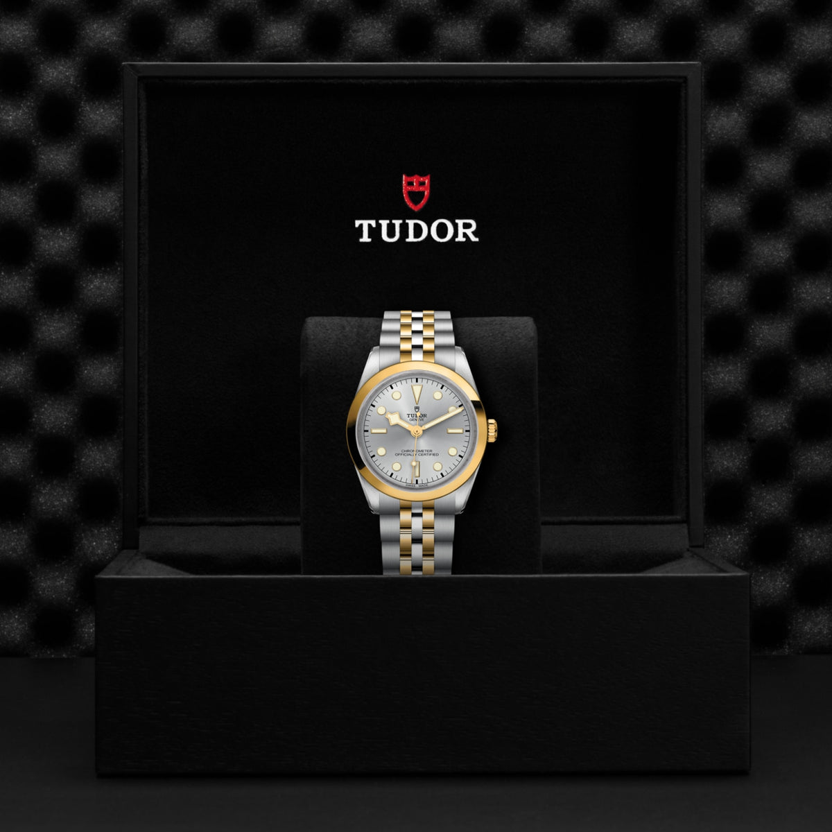 TUDOR Black Bay One 36 S&G M79643-0002 Watch