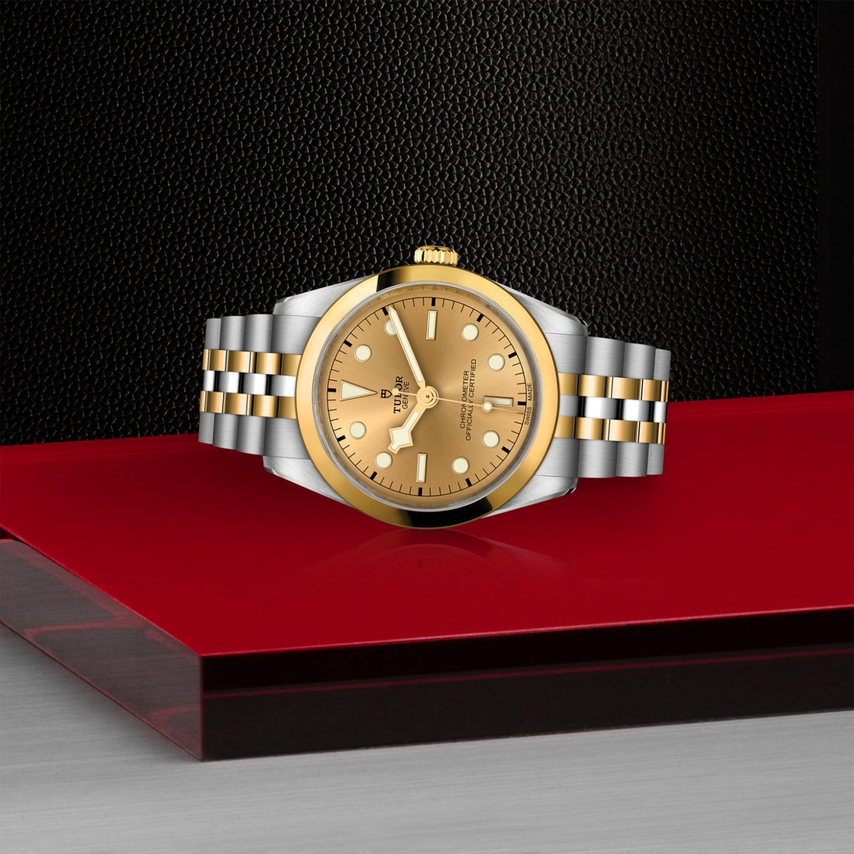 TUDOR Black Bay One 36 S&G M79643-0005 Watch