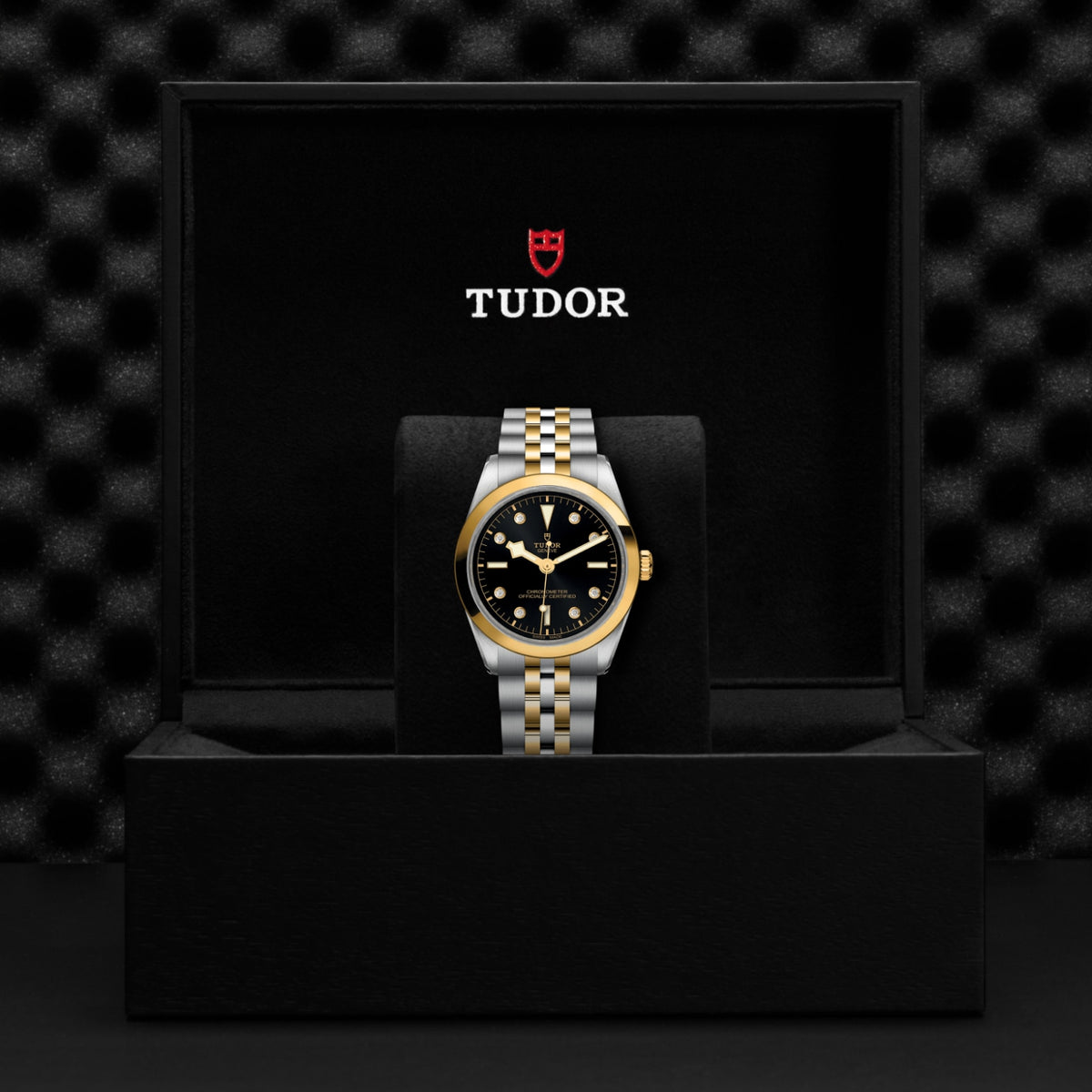 TUDOR Black Bay One 36 S&G M79643-0006 Watch