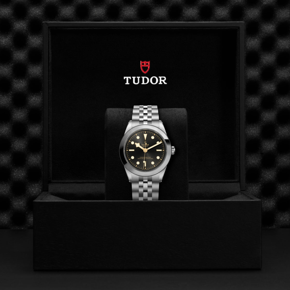 TUDOR Black Bay One 39 M79660-0001 Watch