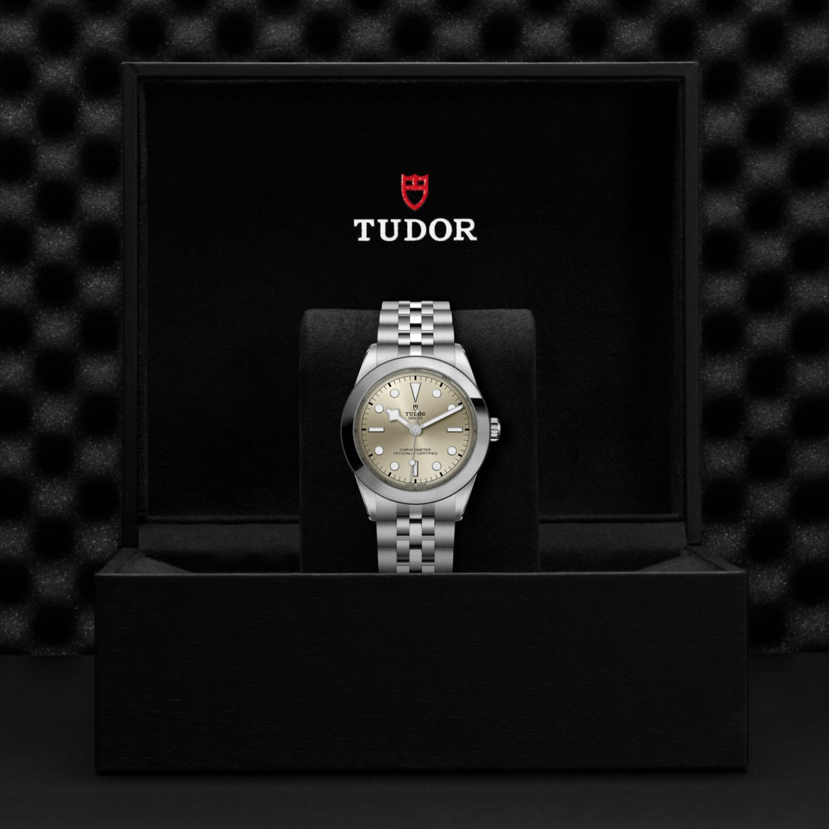TUDOR Black Bay One 39 M79660-0003 Watch