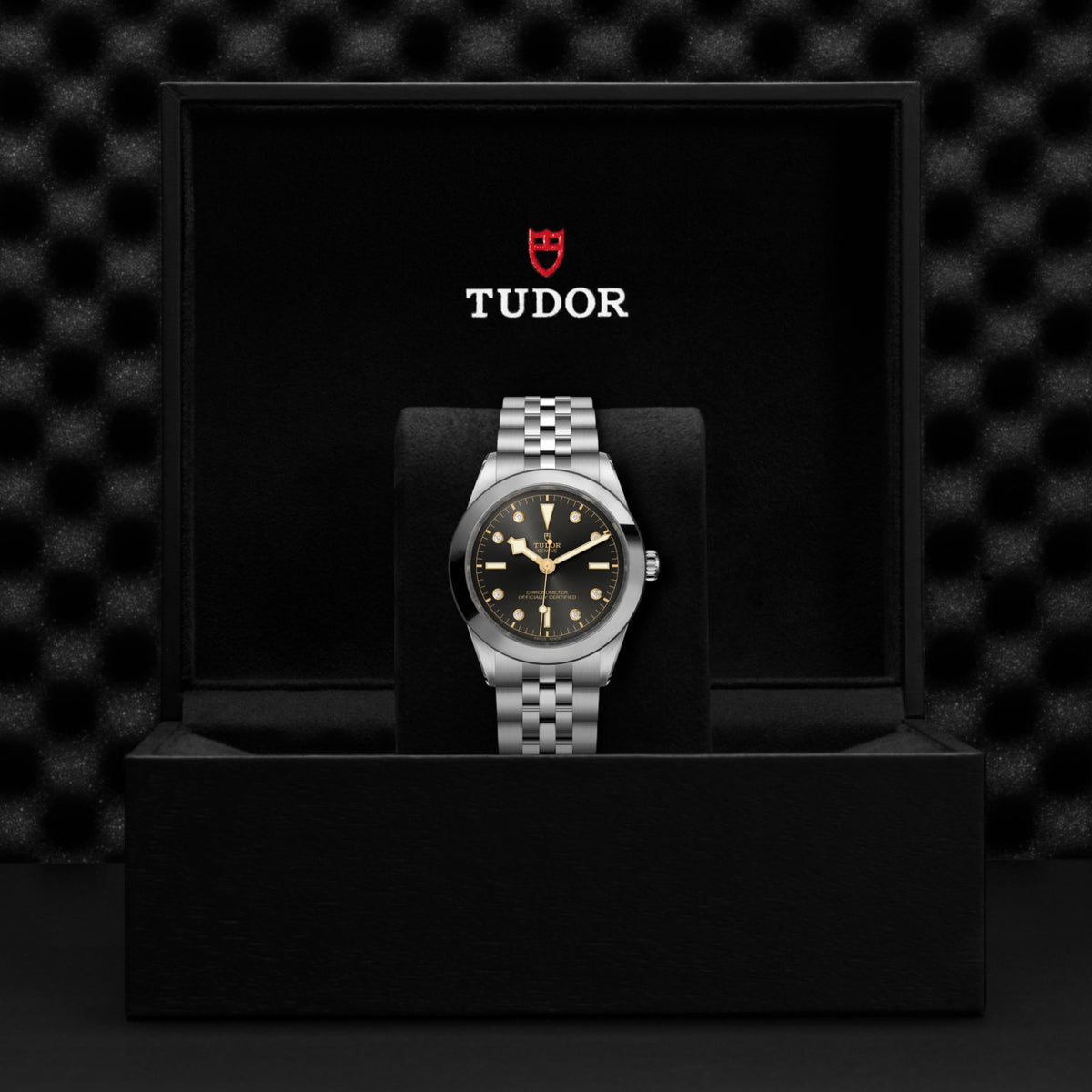 TUDOR Black Bay One 39 M79660-0004 Watch