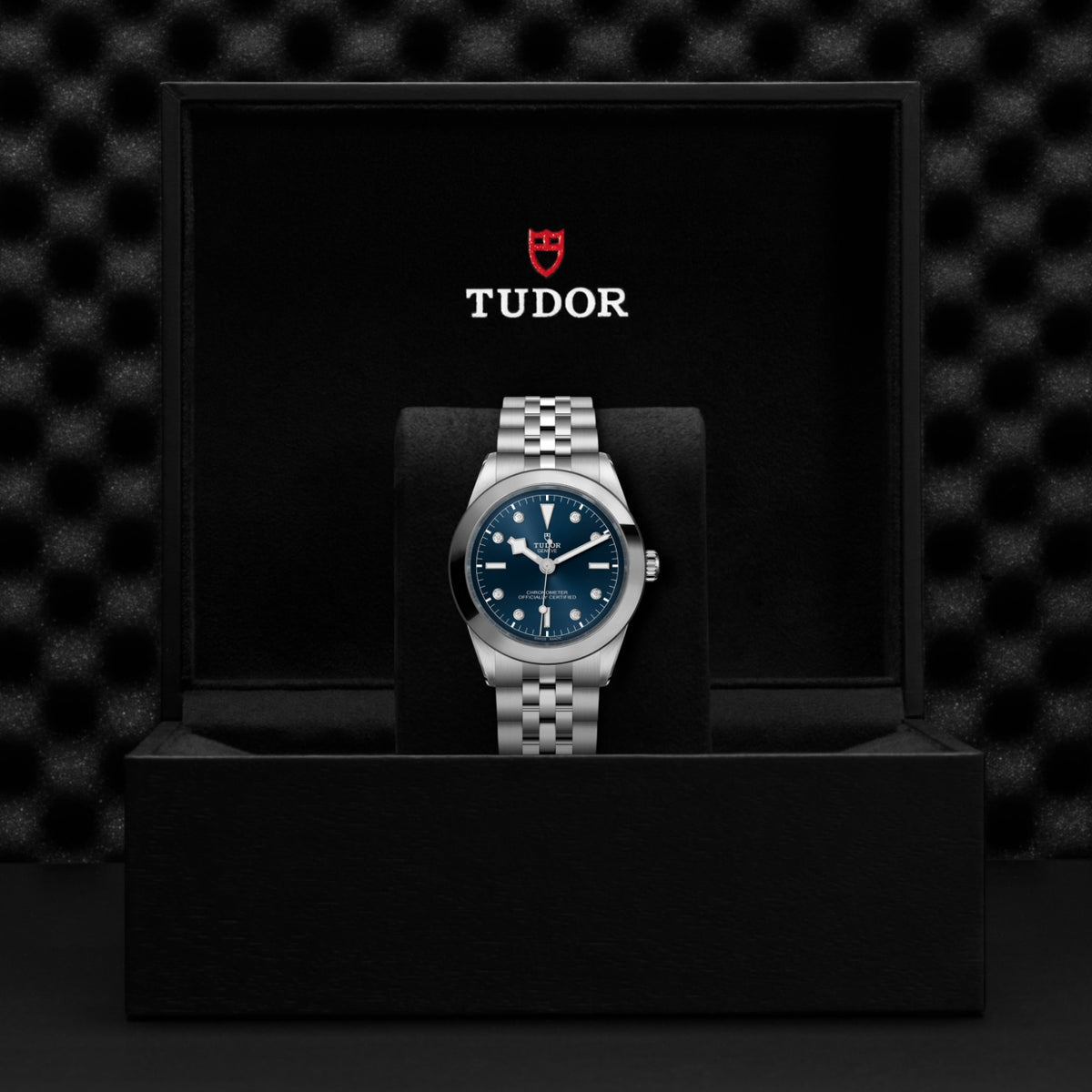 TUDOR Black Bay One 39 M79660-0005 Watch
