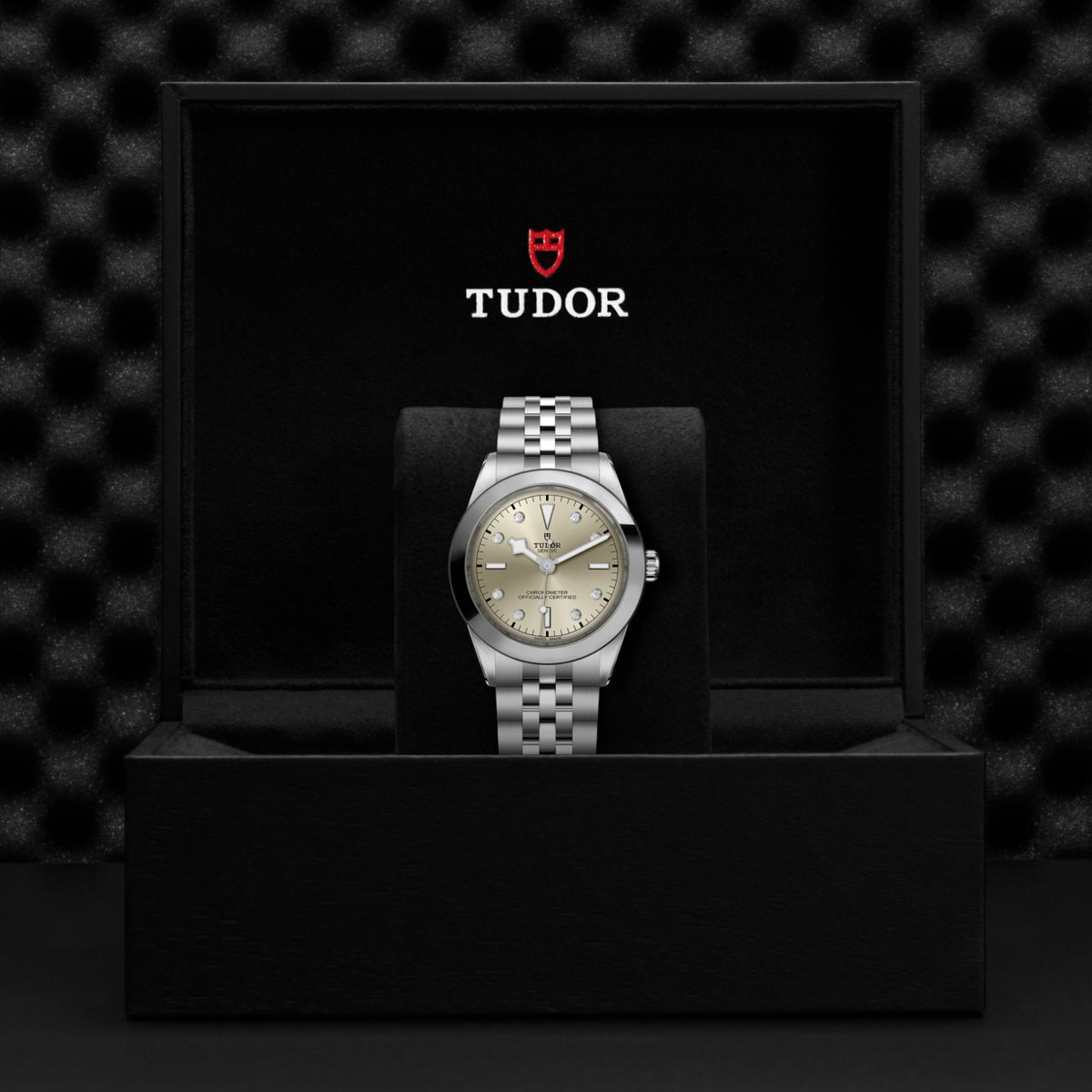 TUDOR Black Bay One 39 M79660-0006 Watch