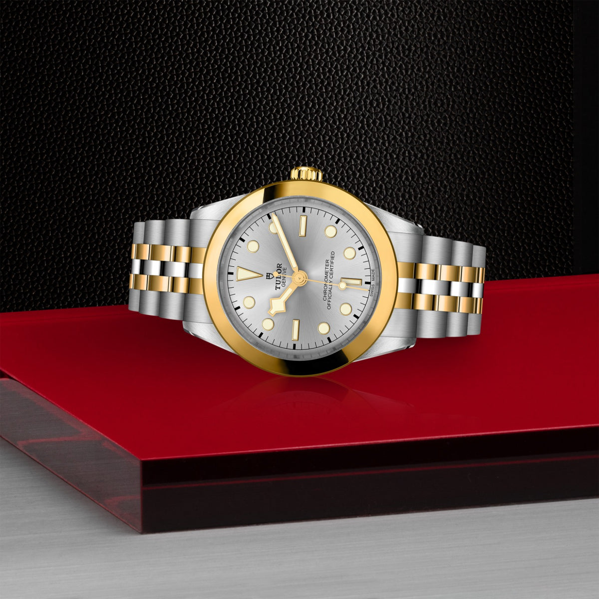 TUDOR Black Bay One 39 S&G M79663-0002 Watch