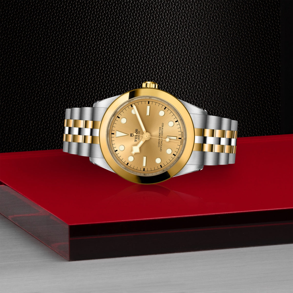 TUDOR Black Bay One 39 S&G M79663-0005 Watch