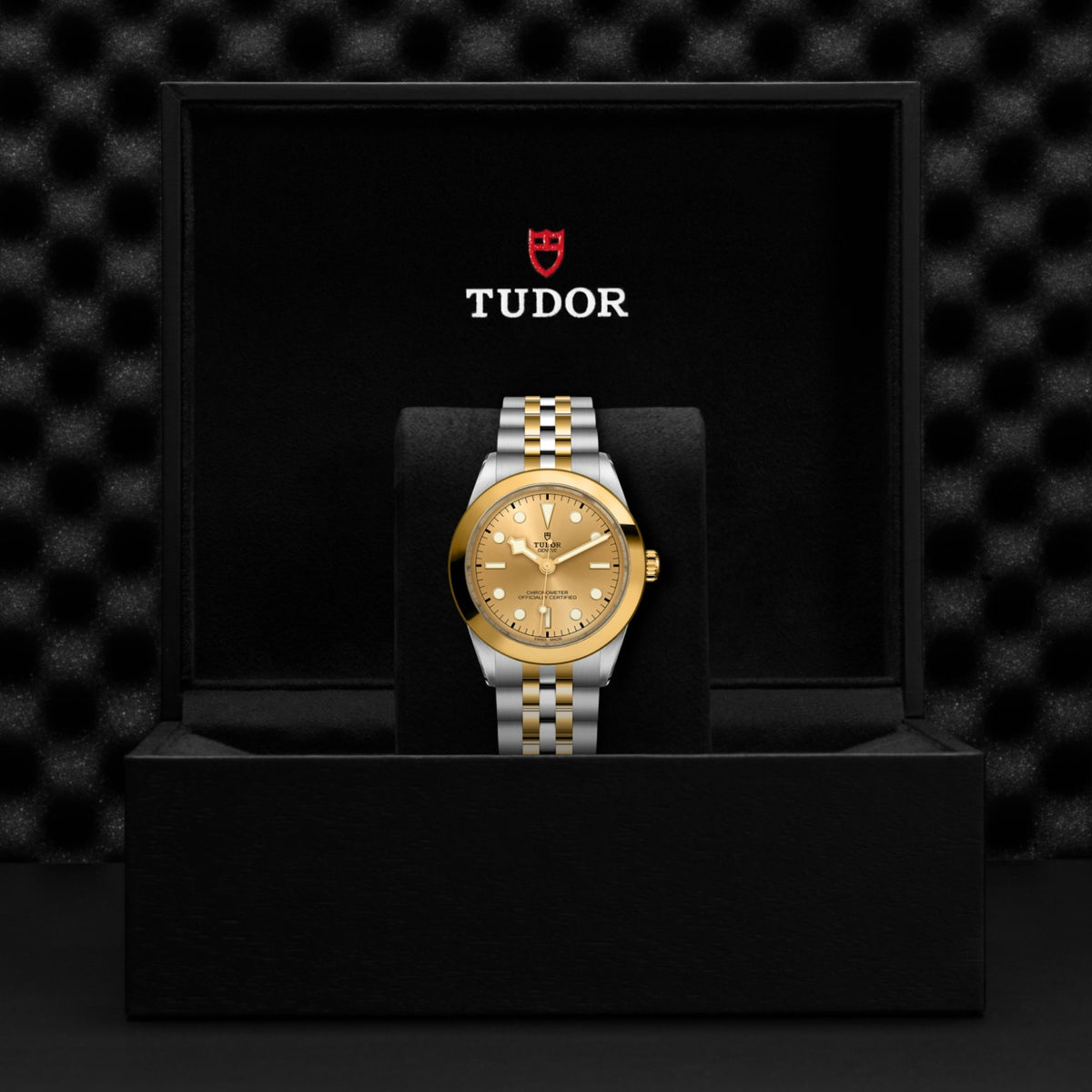 TUDOR Black Bay One 39 S&G M79663-0005 Watch