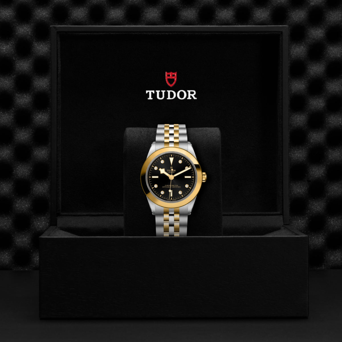 TUDOR Black Bay One 39 S&G M79663-0006 Watch
