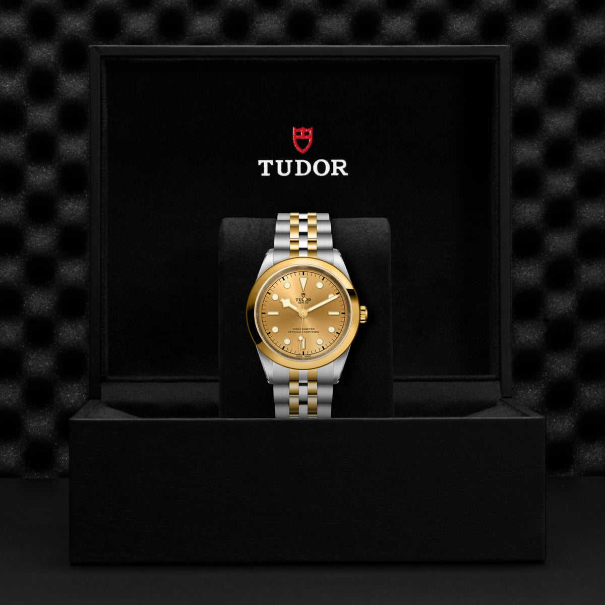 TUDOR Black Bay One 41 S&G M79683-0005 Watch