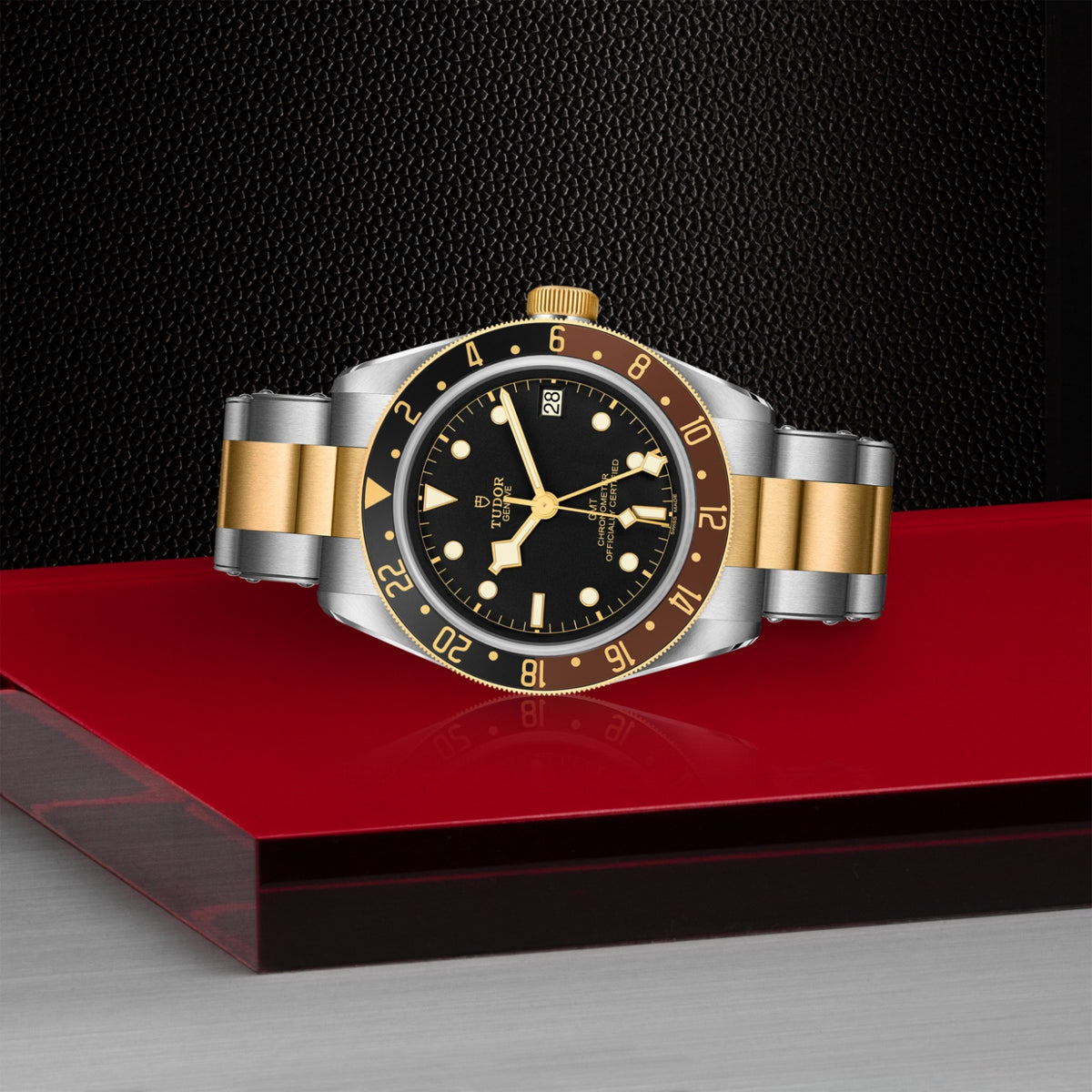 TUDOR Black Bay GMT S&G M79833MN-0001 Watch