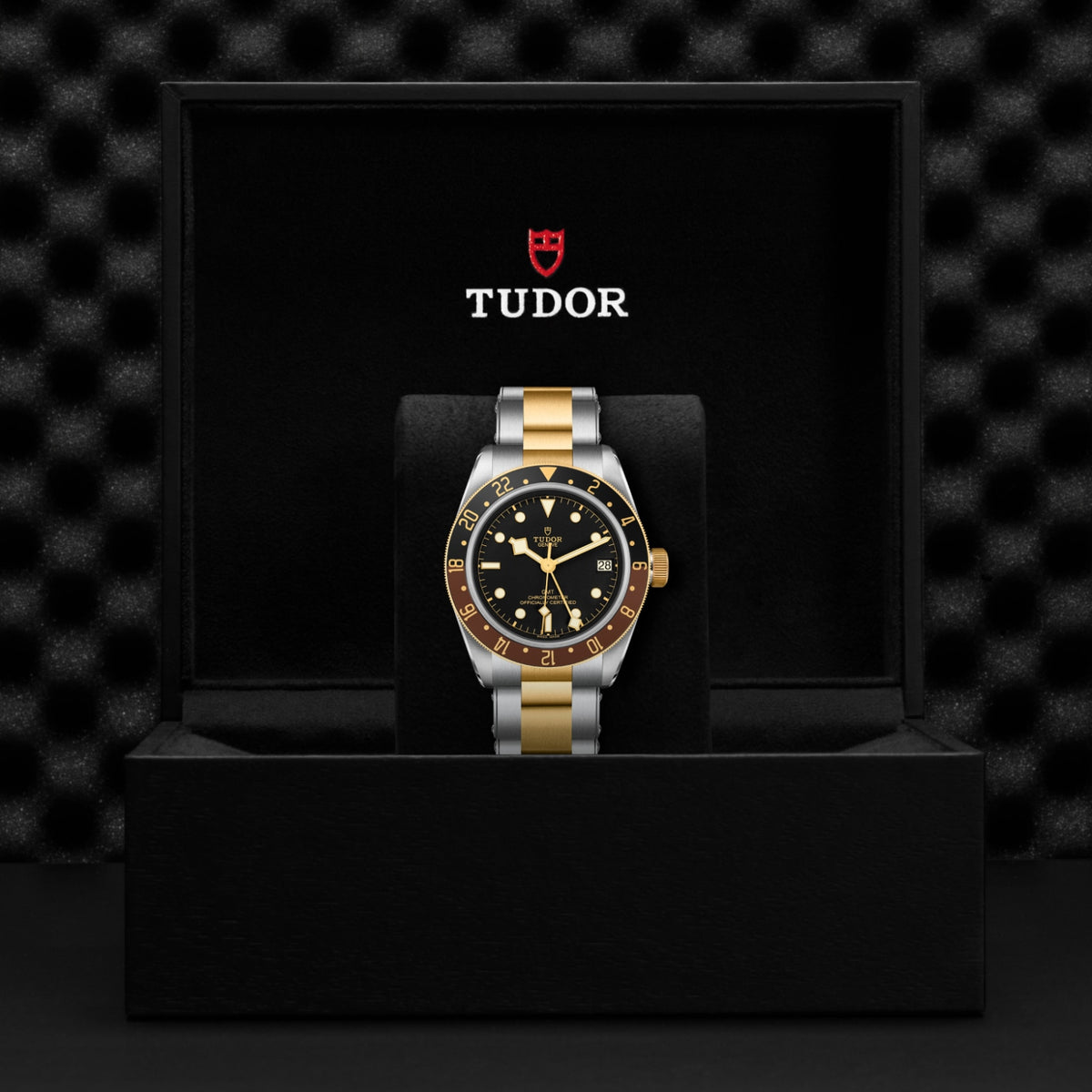 TUDOR Black Bay GMT S&G M79833MN-0001 Watch