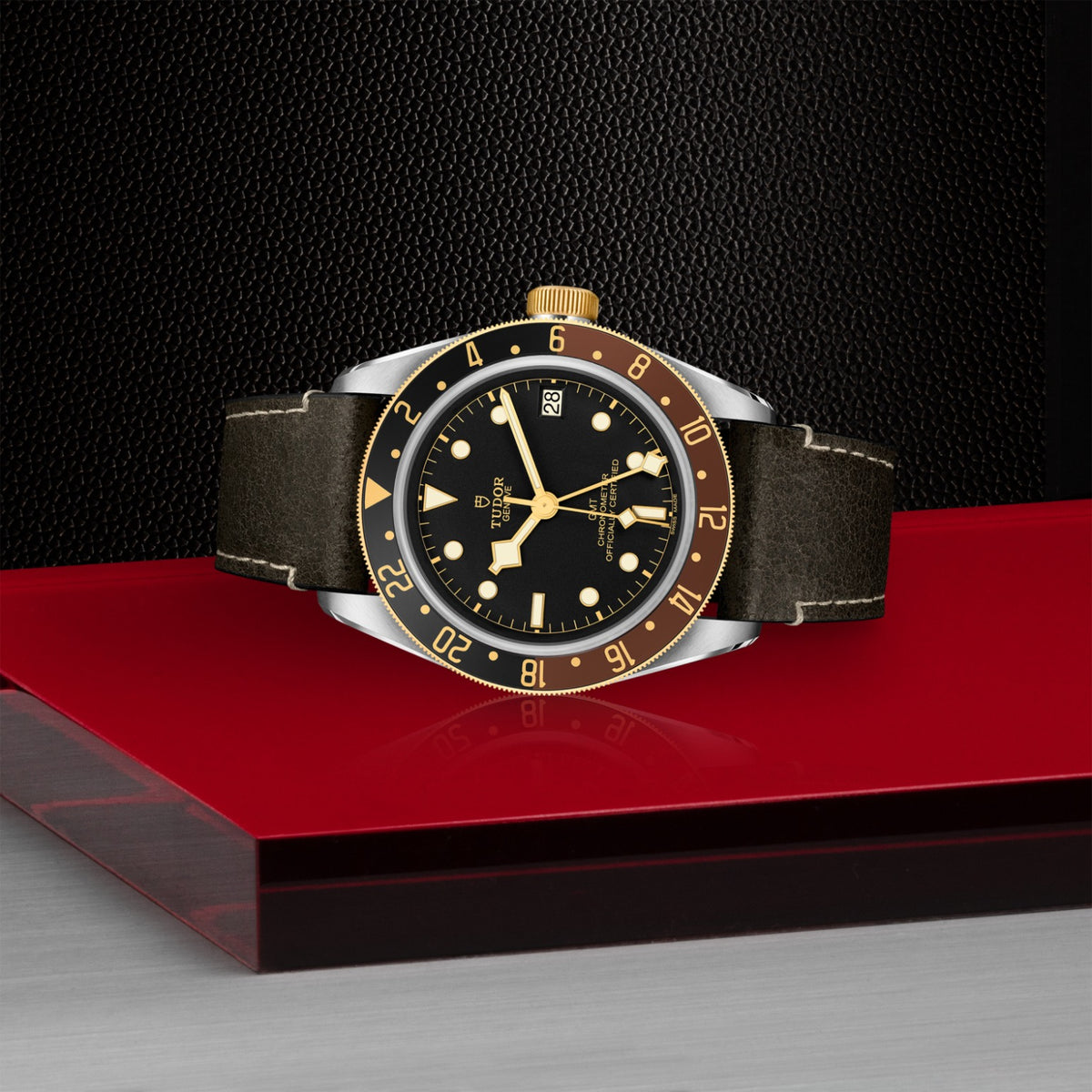 TUDOR Black Bay GMT S&G M79833MN-0003 Watch