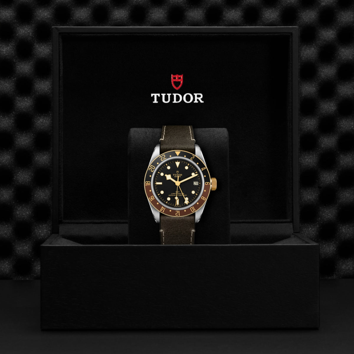 TUDOR Black Bay GMT S&G M79833MN-0003 Watch