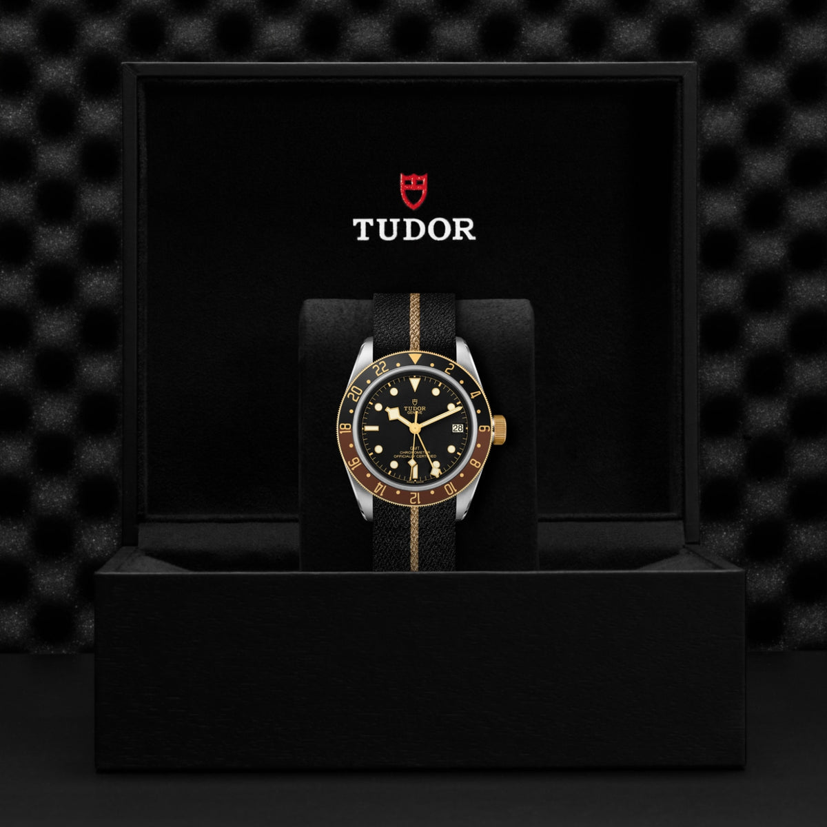 TUDOR Black Bay GMT S&G M79833MN-0004 Watch